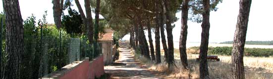 driveway to Relais Pian di Vico